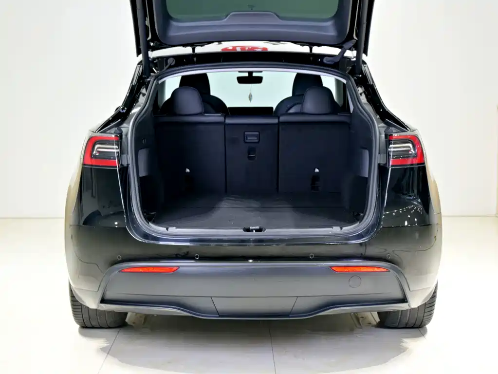 Tesla Model Y — миниатюра 21