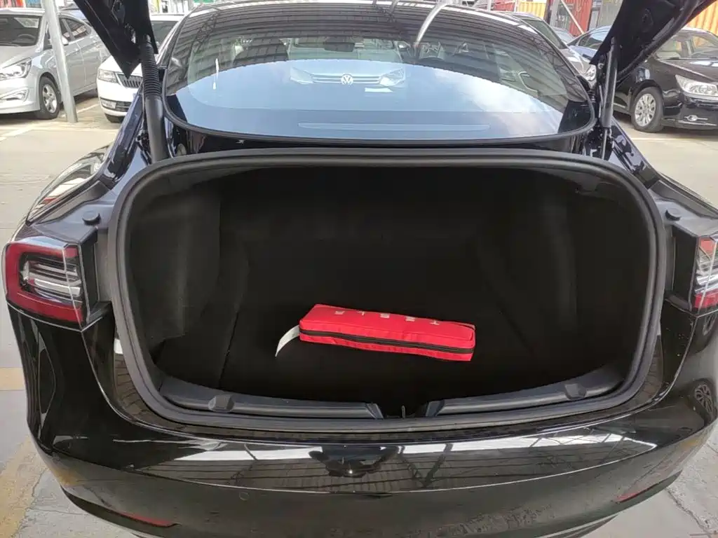 Tesla Model 3 — миниатюра 19