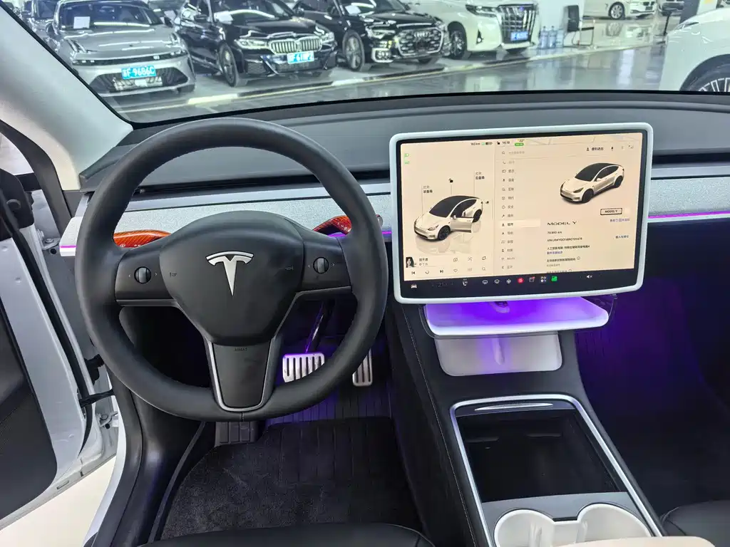 Tesla Model Y — миниатюра 6