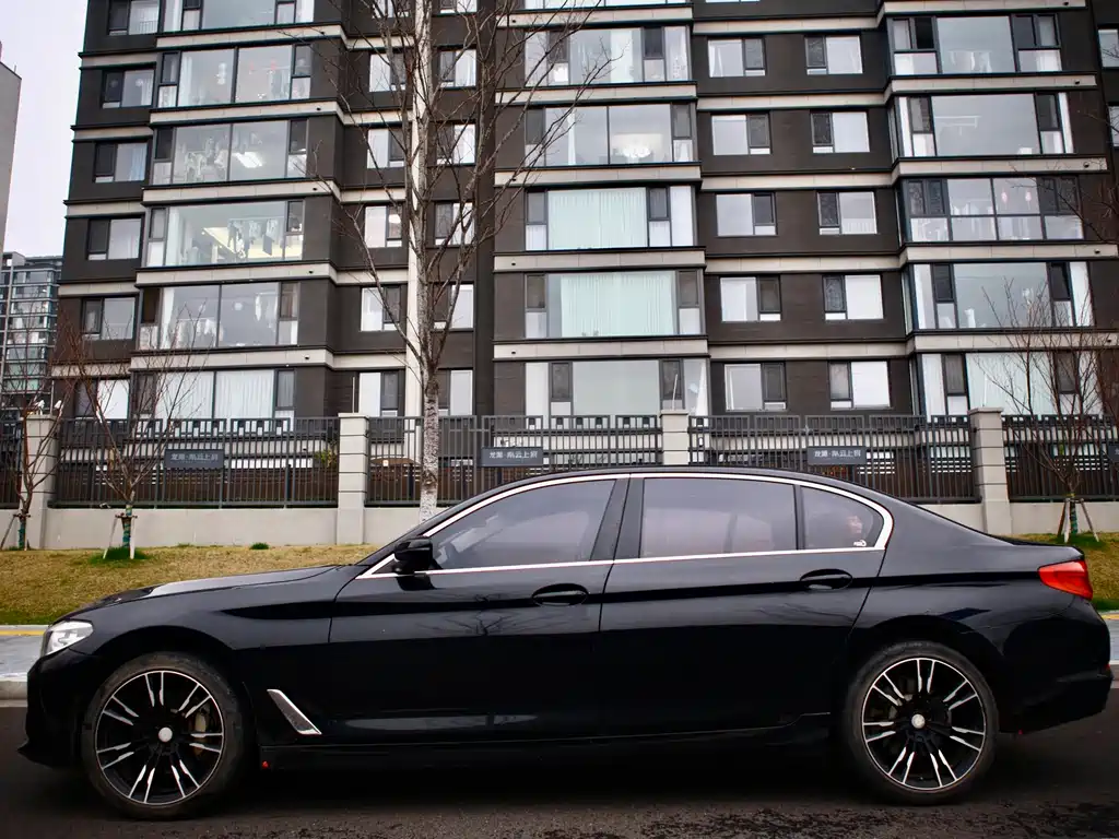 BMW 5 Series 5 2018 528Li