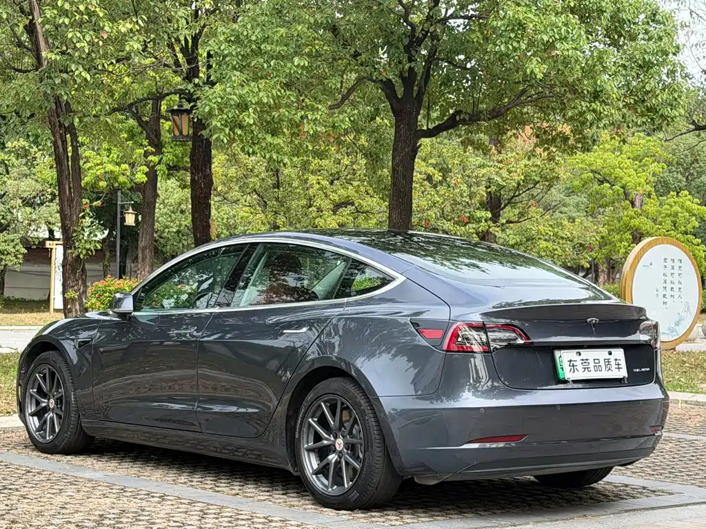 Tesla Model 3 — миниатюра 5