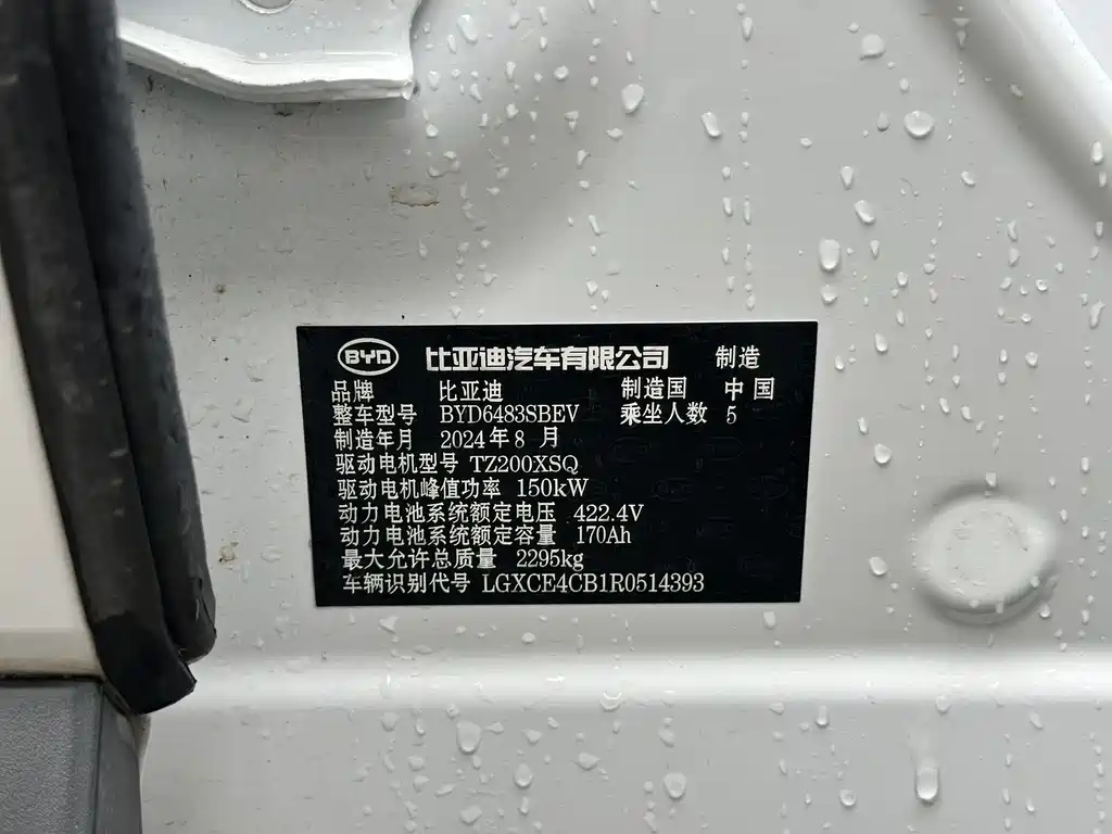 BYD SONGJIANG NEW ENERGY