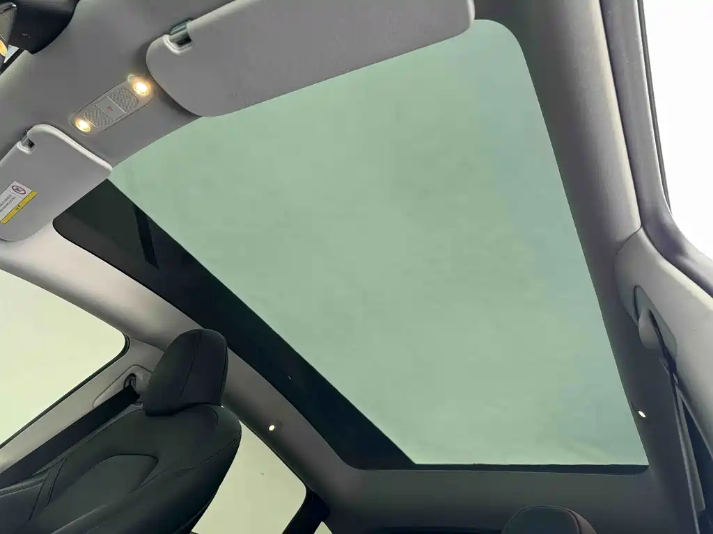 Tesla Model Y — миниатюра 16