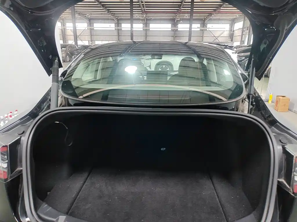 Tesla Model 3 — миниатюра 15