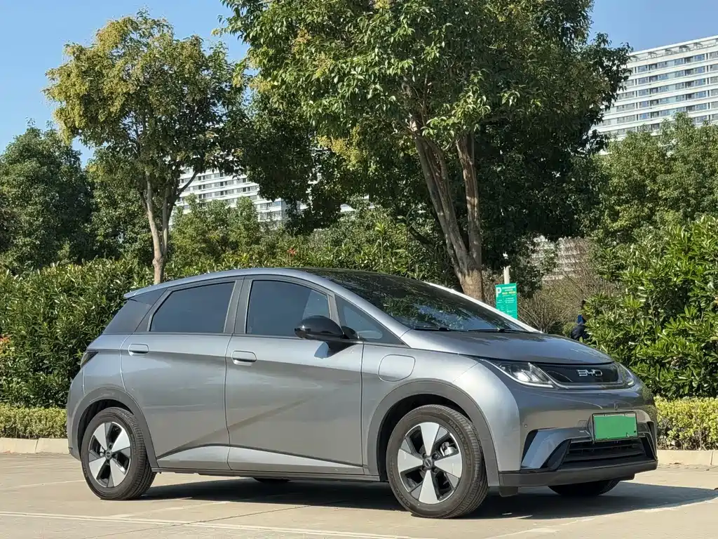 BYD Dolphin — миниатюра 12