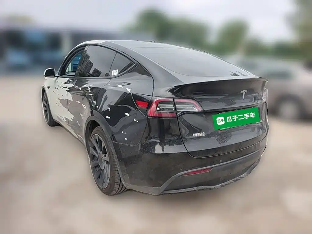 Tesla Model Y — миниатюра 7