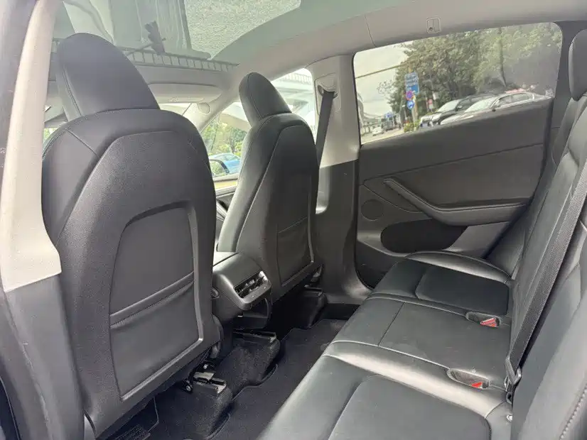 Tesla Model Y — миниатюра 11