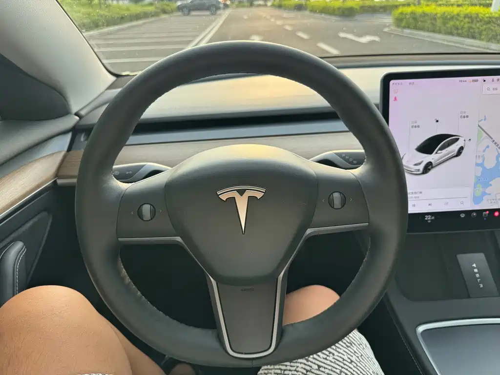 Tesla Model 3 — миниатюра 9