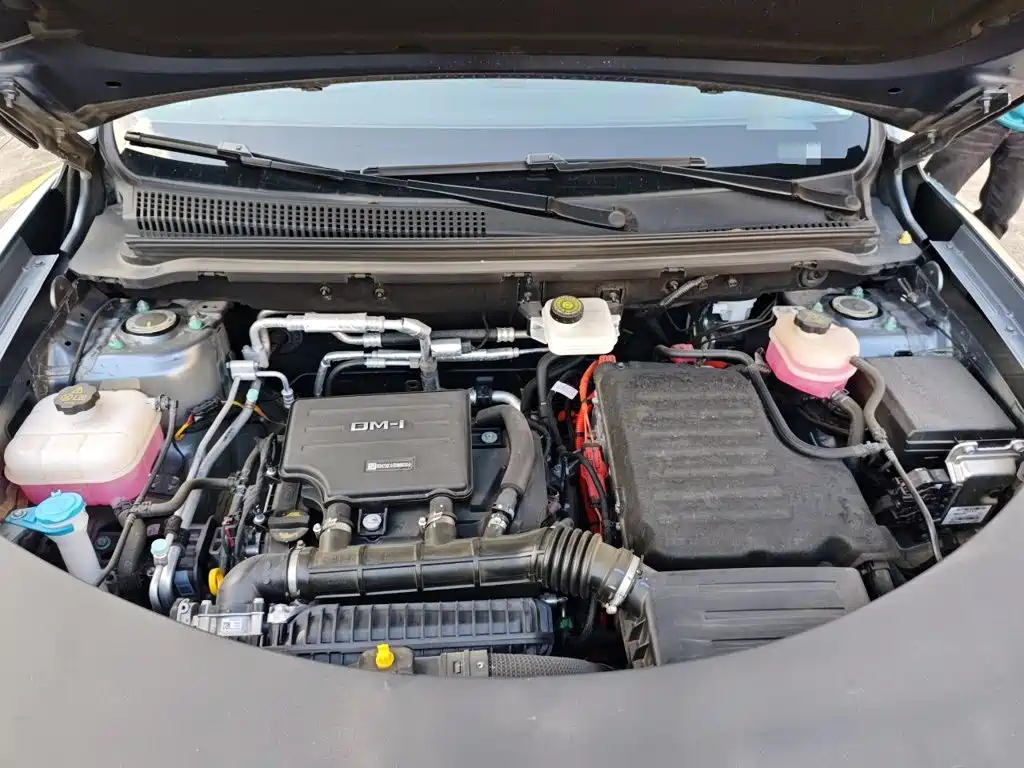 BYD Pro New Energy — миниатюра 16