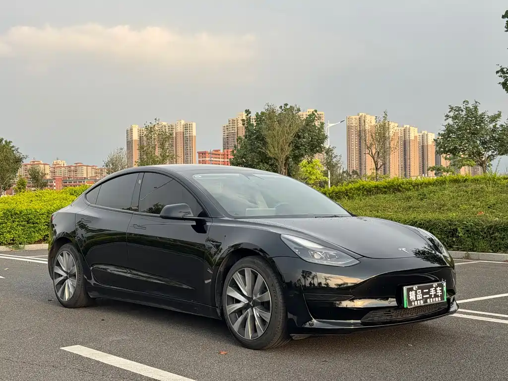 Tesla Model 3 — миниатюра 3