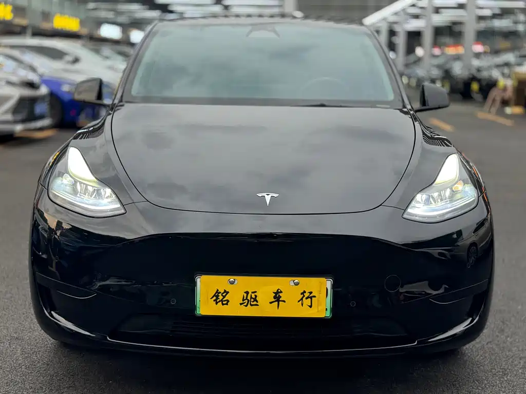 Tesla Model Y — миниатюра 2