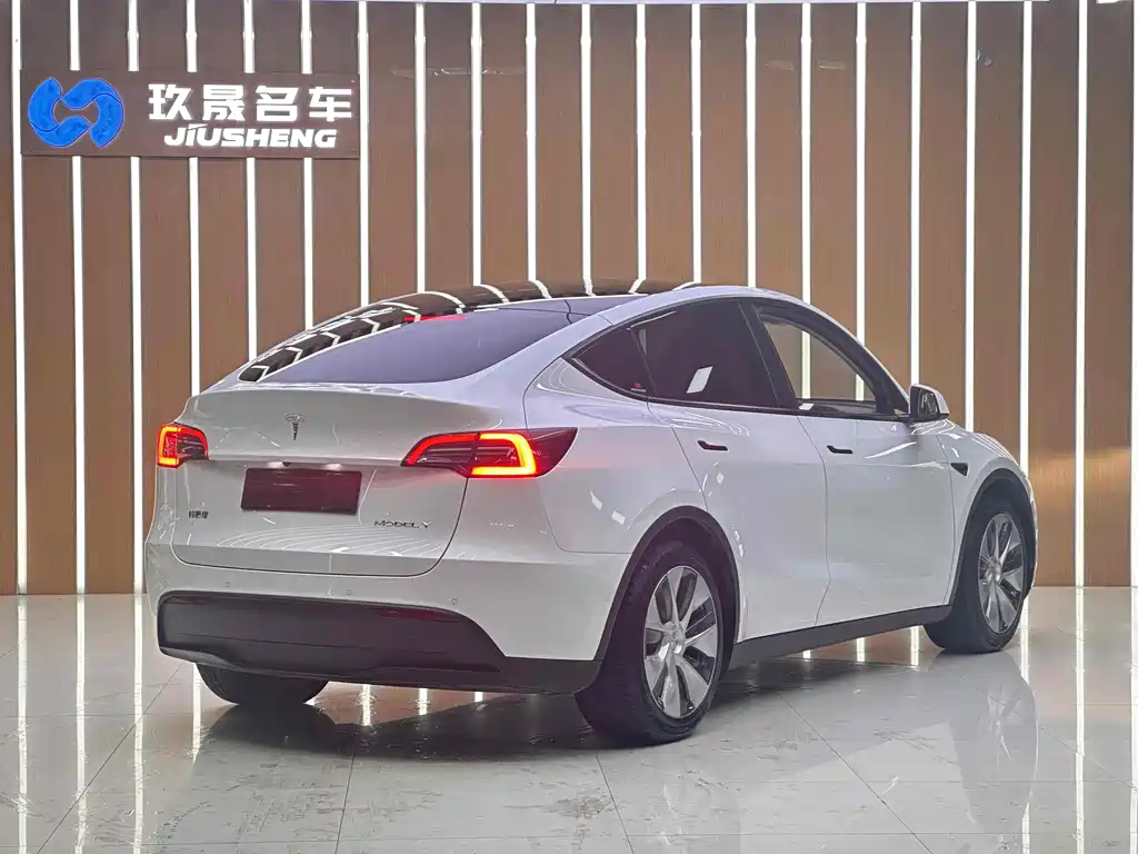 Tesla Model Y — миниатюра 11
