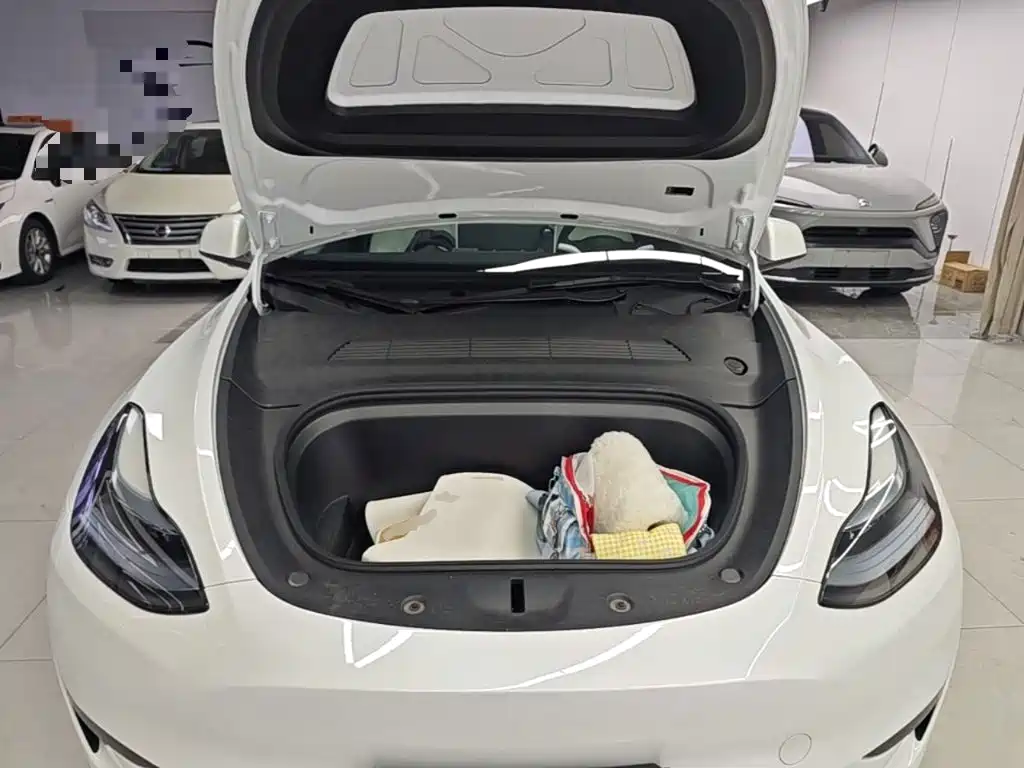 Tesla Model Y — миниатюра 20