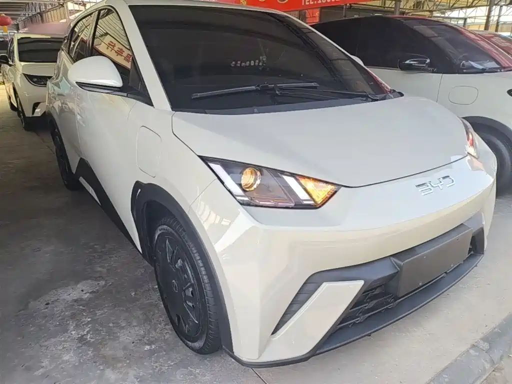 BYD Seagull 2024 305km