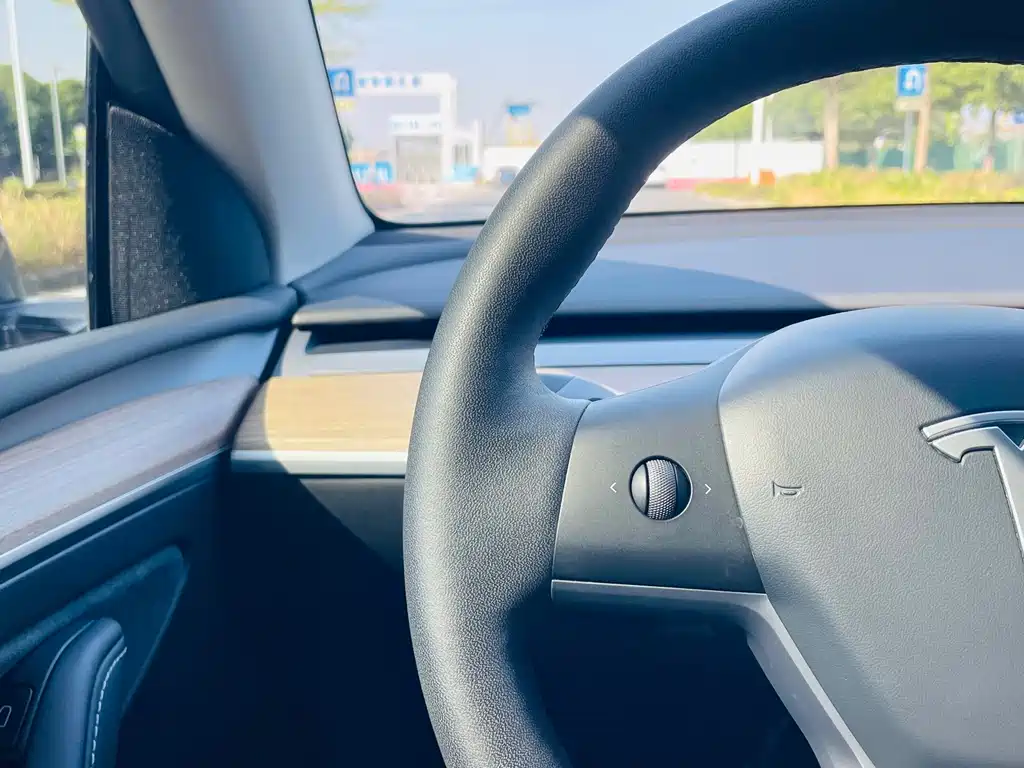 Tesla Model Y — миниатюра 20