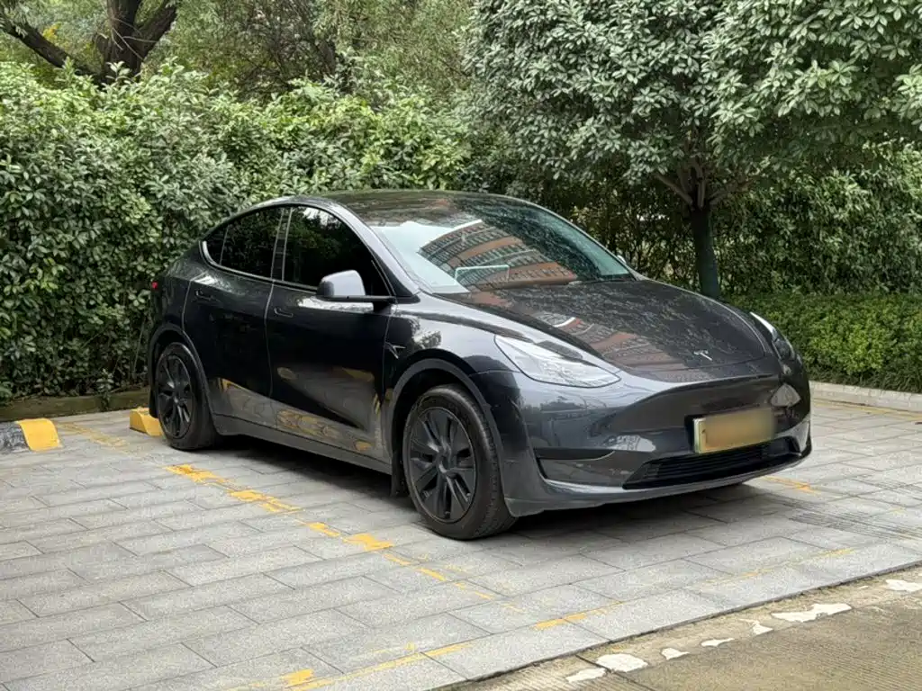 Tesla Model Y — миниатюра 5