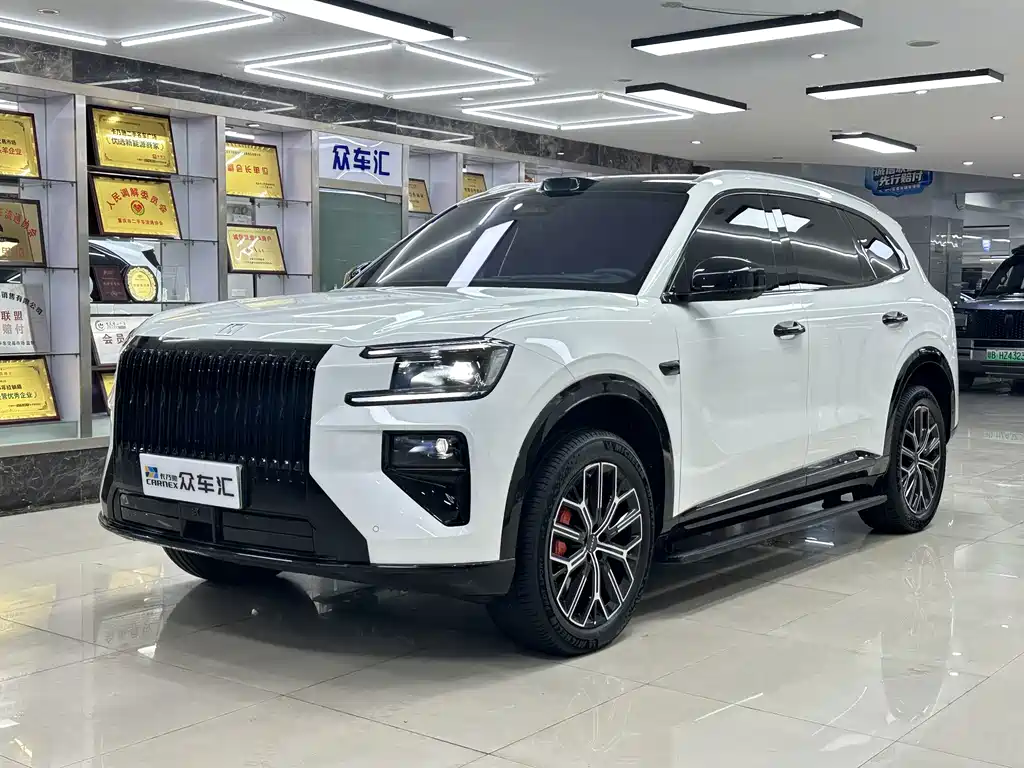 Zeekr 极氪8X