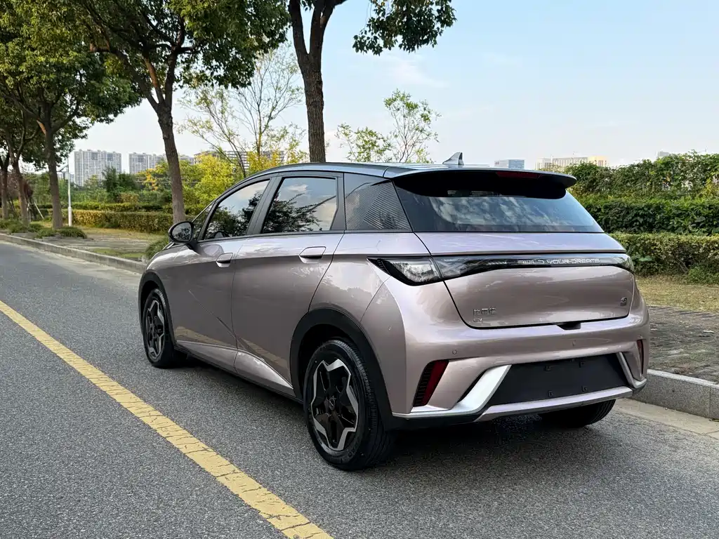 BYD Dolphin — миниатюра 7