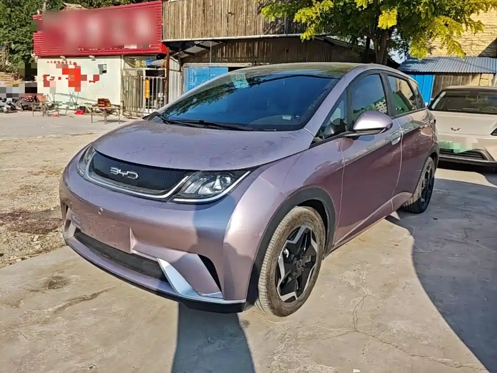 BYD Dolphin