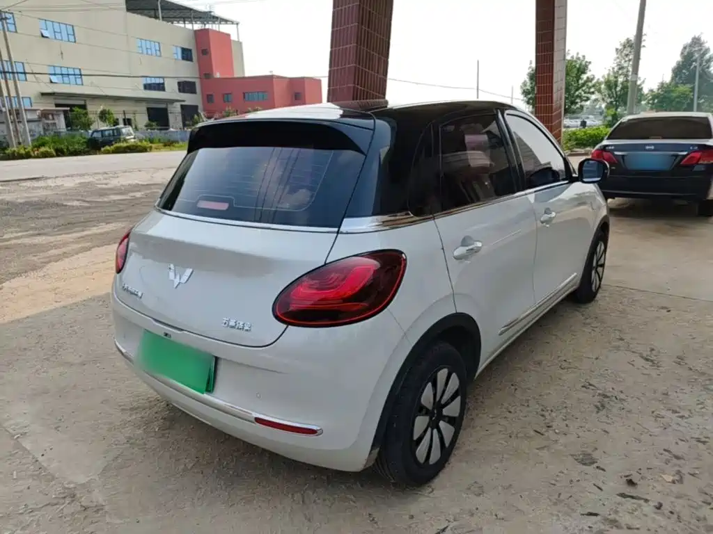 Wuling Binguo 2024 333km Enjoy