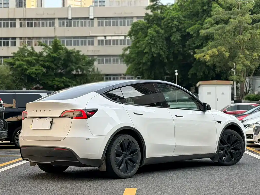 Tesla Model Y — миниатюра 12