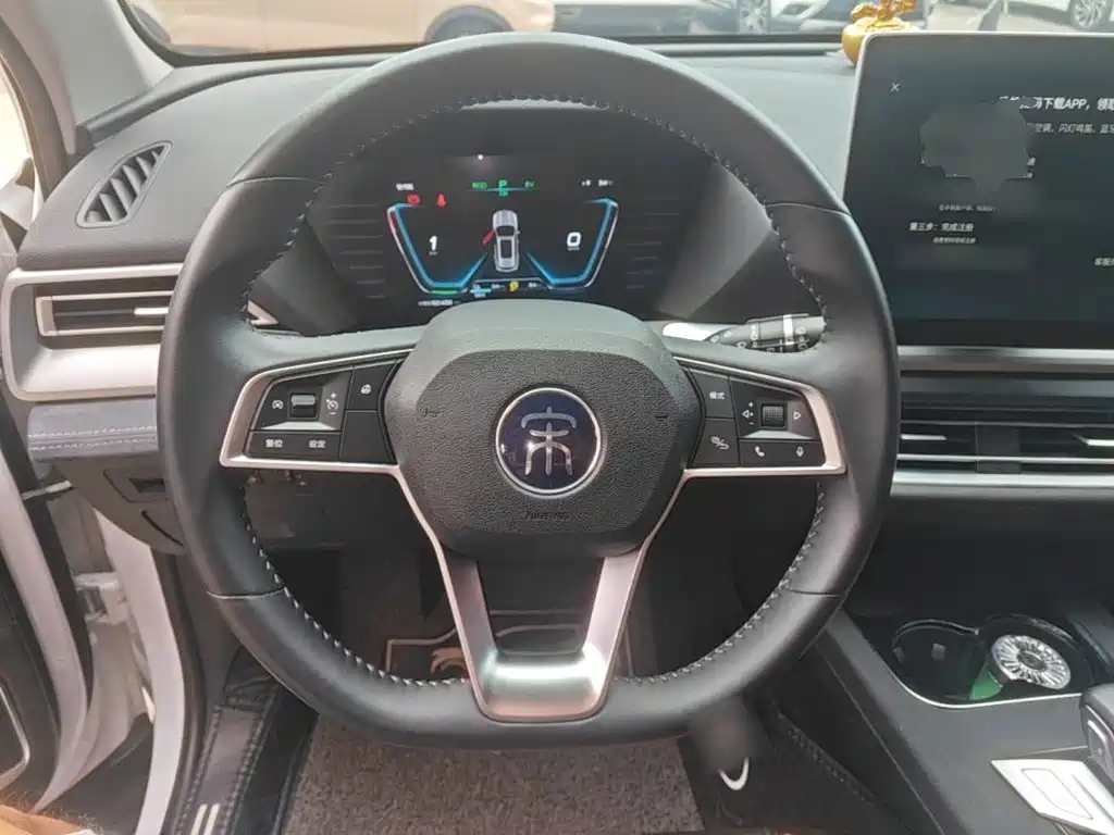 BYD Pro New Energy — миниатюра 11