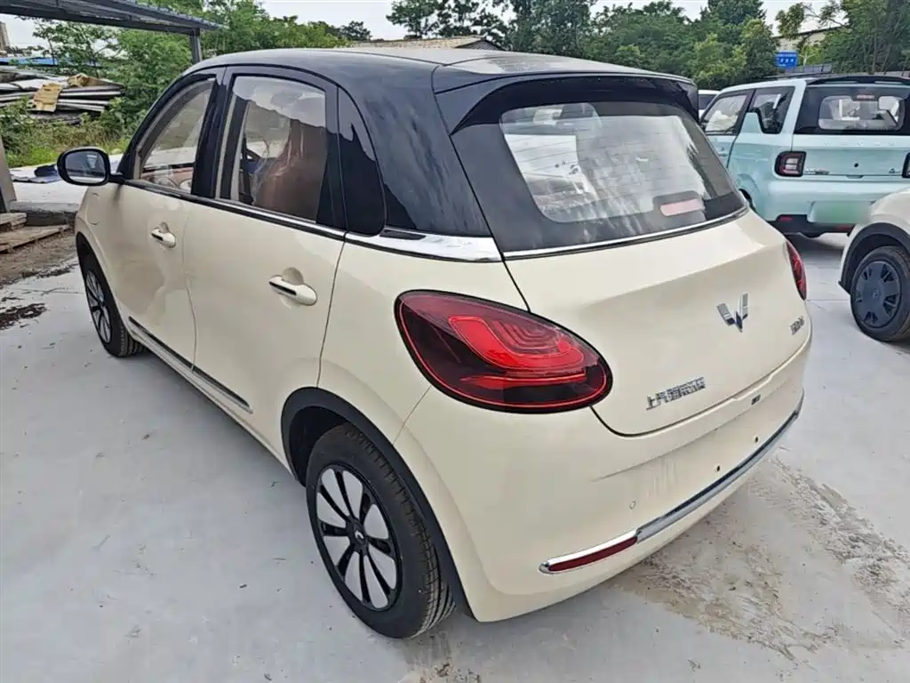 Wuling Binguo 2025 333km Enjoy