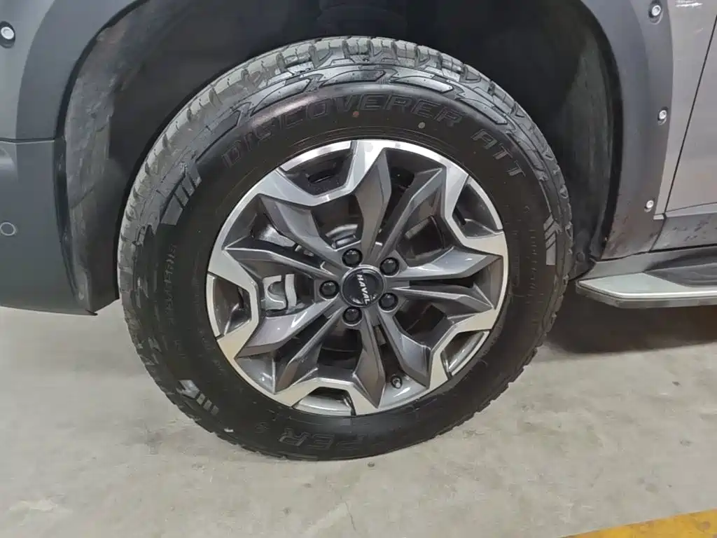 Haval Big Dog — миниатюра 23