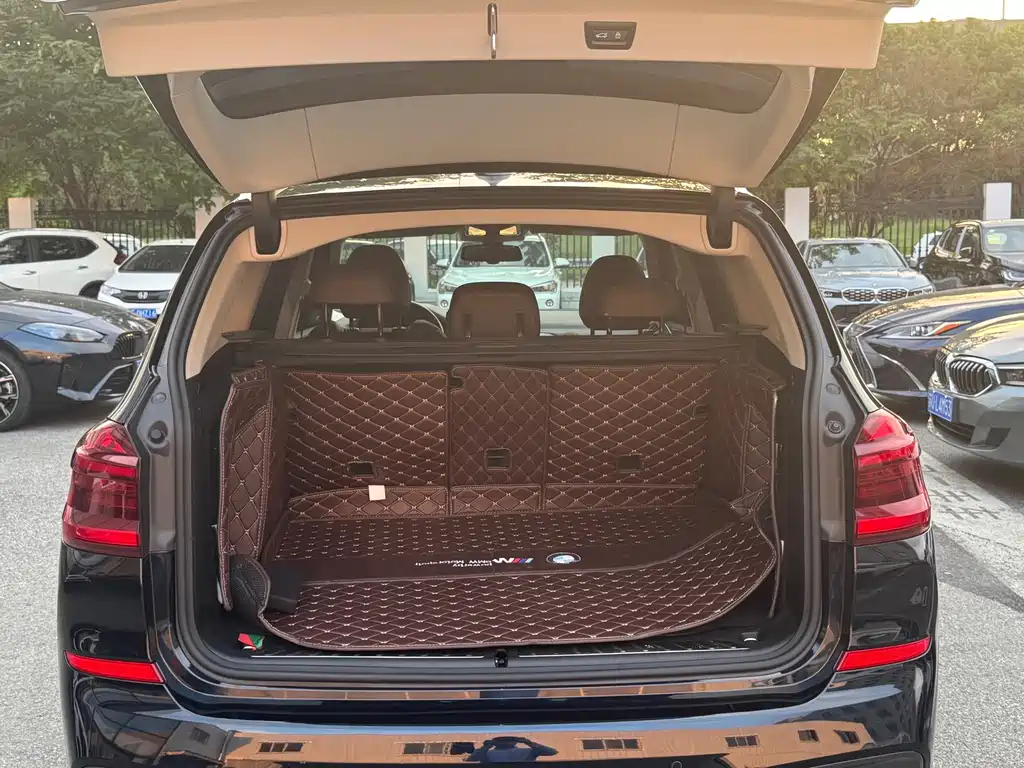 BMW X3 — миниатюра 8