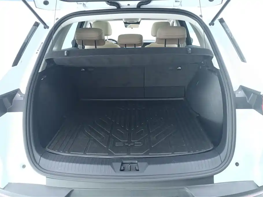 BYD SONGJIANG NEW ENERGY