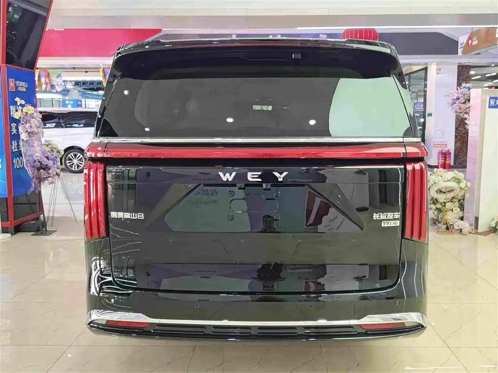 Wey Wey Gaoshan New Energy — миниатюра 15