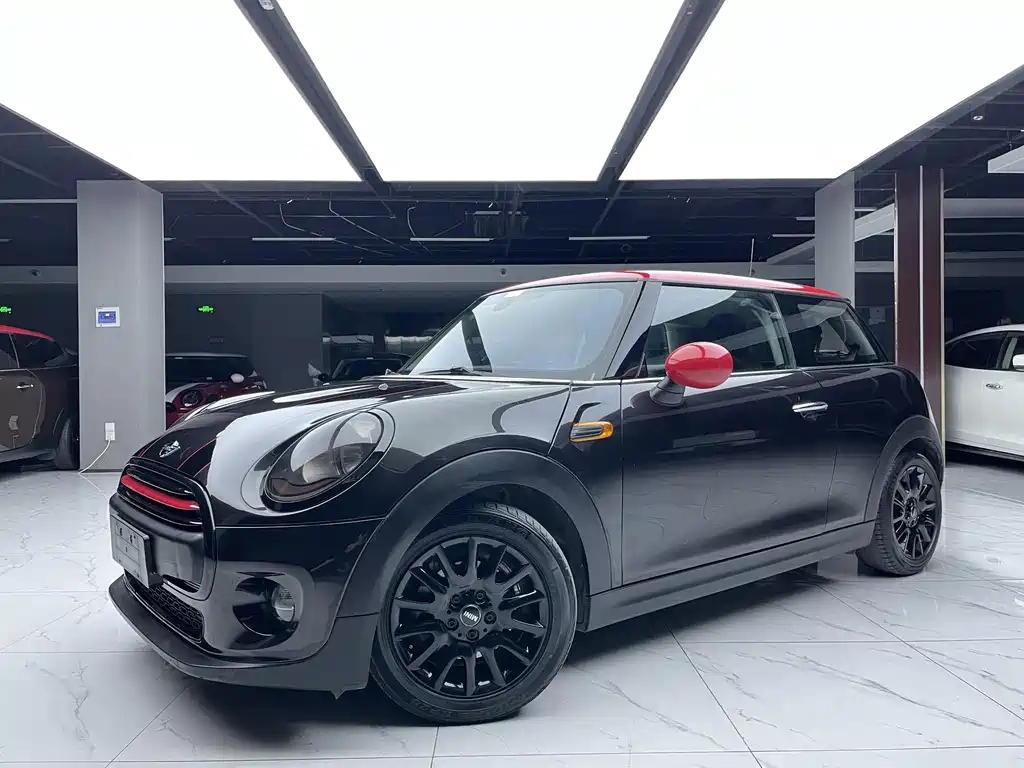 Mini Mini 2015