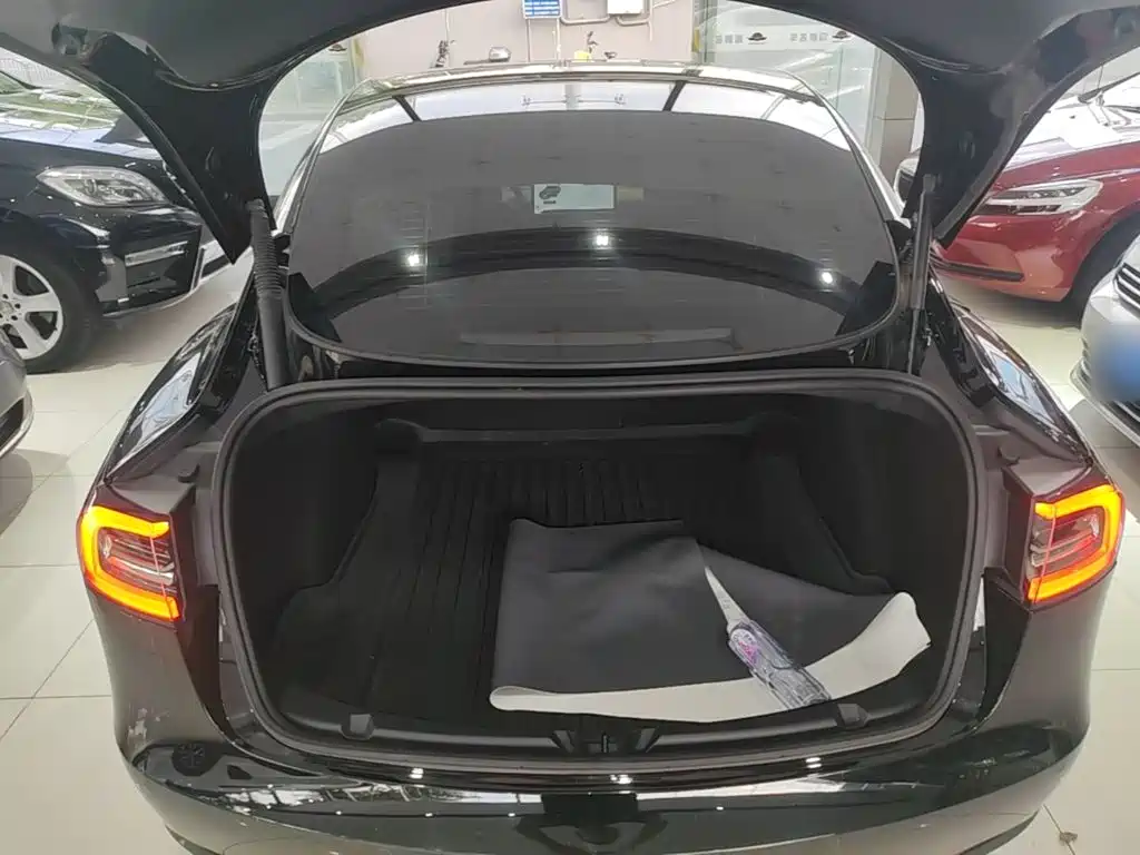 Tesla Model 3 — миниатюра 19