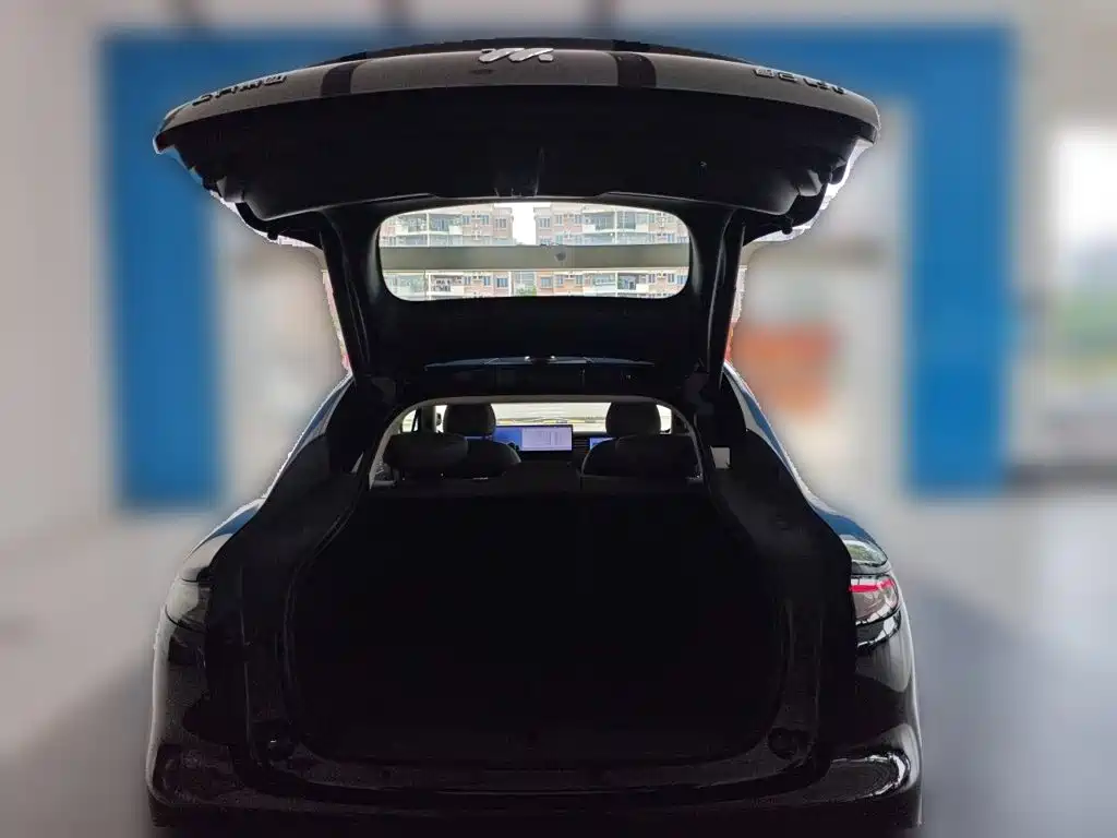 IM IM LS6 — миниатюра 10