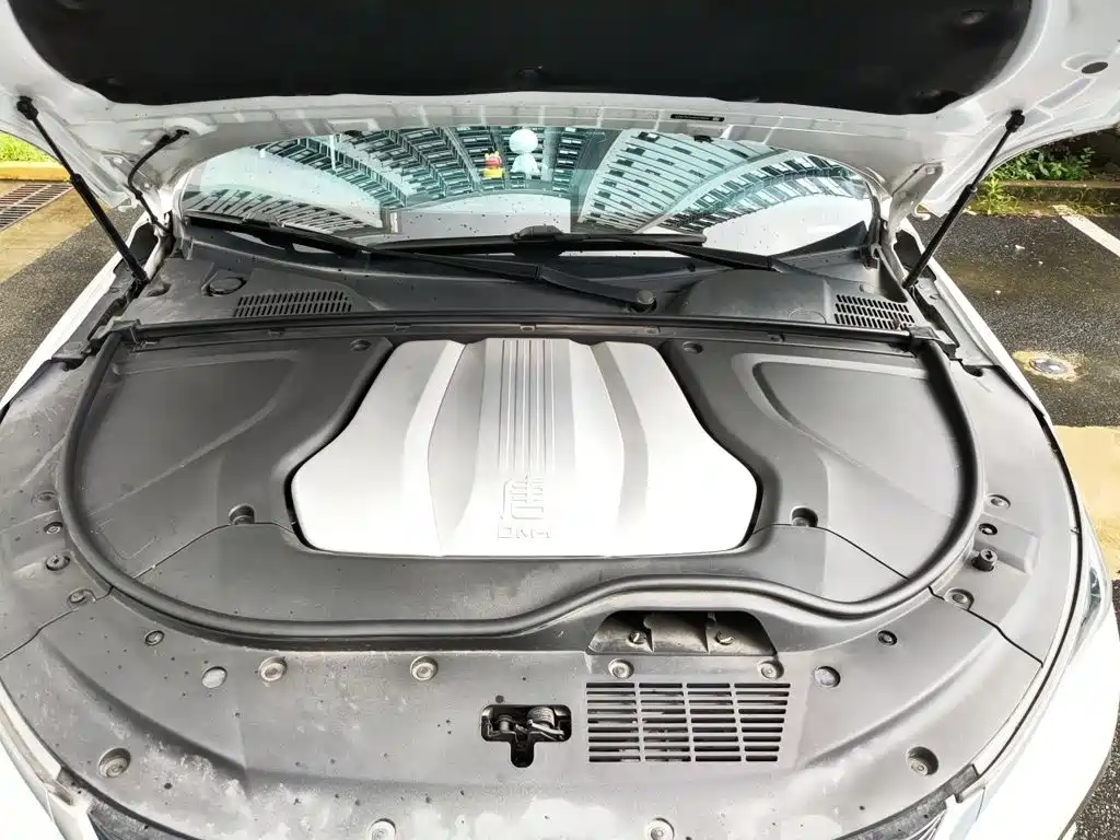 BYD Tang New Energy — миниатюра 11