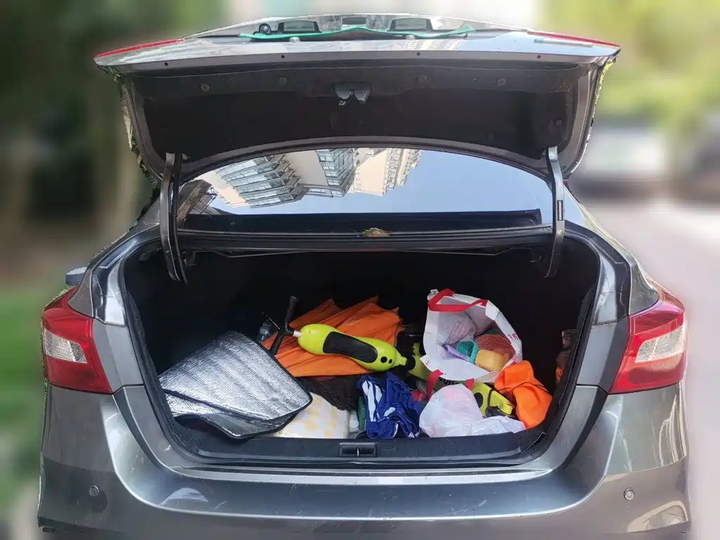 Nissan Sylphy — миниатюра 10