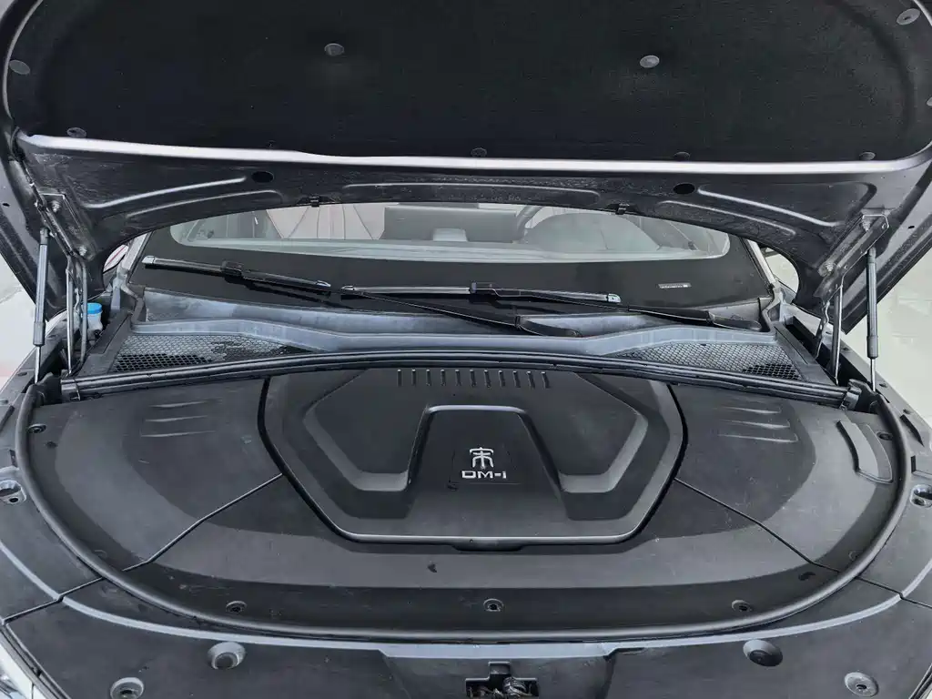 BYD PLUS New Energy — миниатюра 2