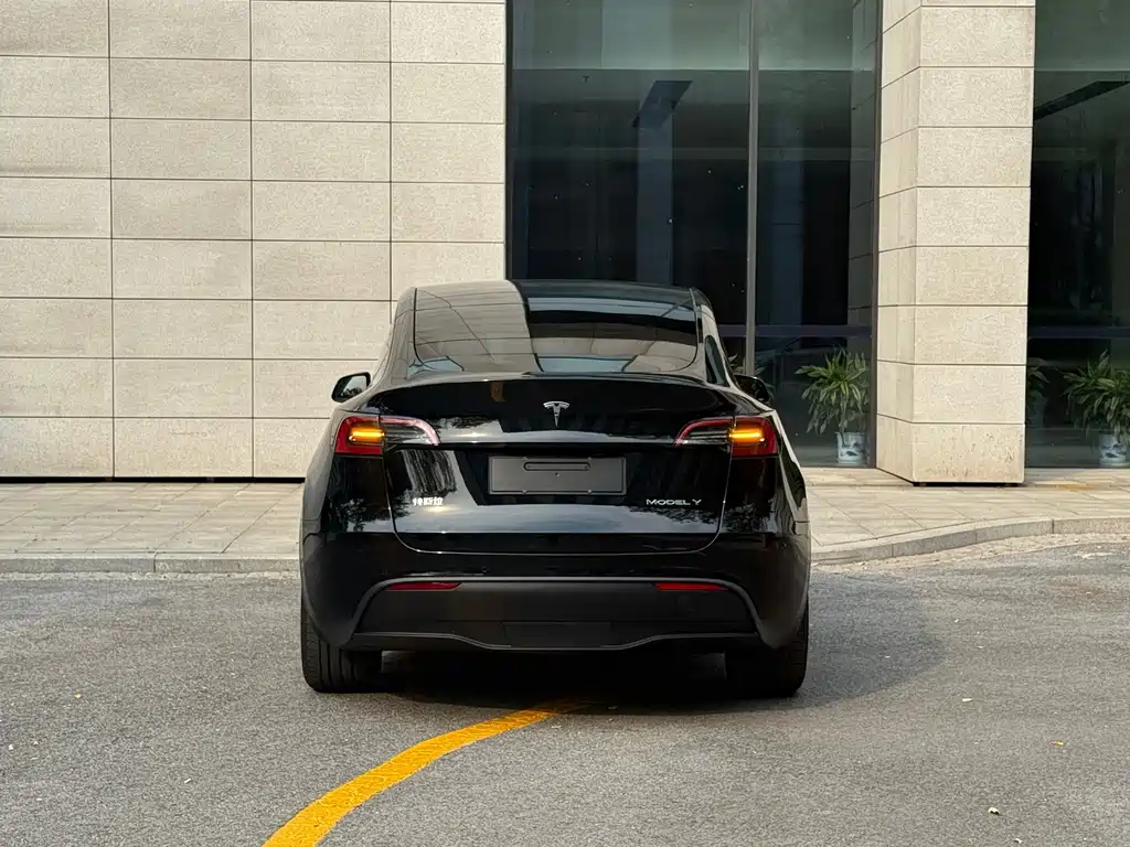 Tesla Model Y — миниатюра 18