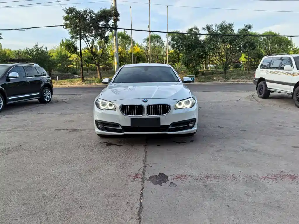 BMW 5 Series 5 2017 520Li Elegant