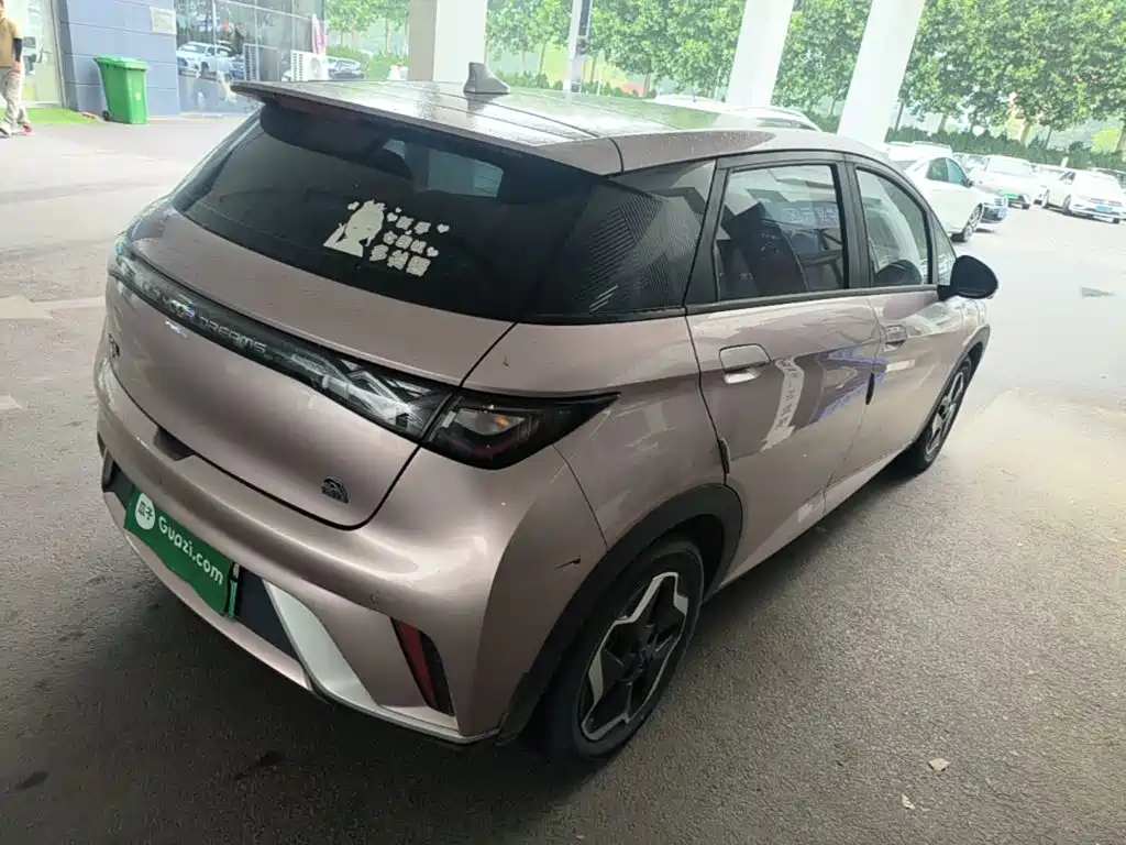 BYD Dolphin 2021 405km Fashion