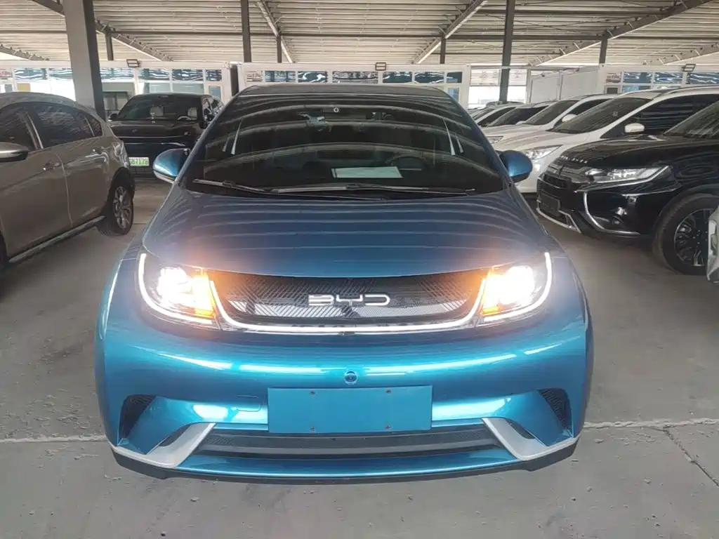 BYD Dolphin — миниатюра 3