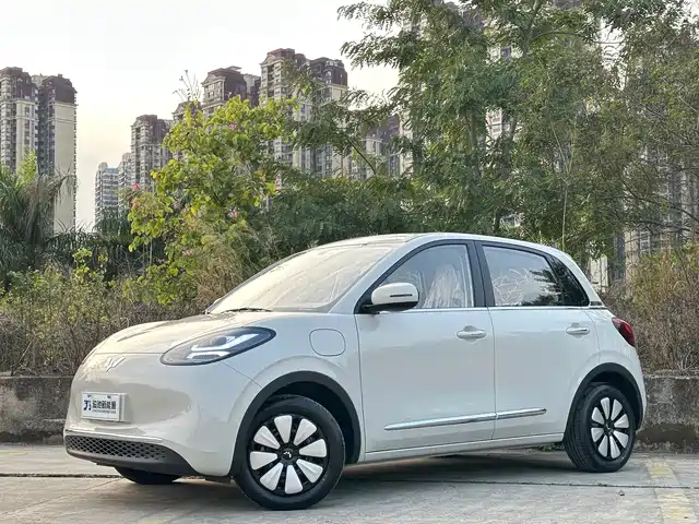 WULING AUTOMOBILE WULING BINGGUO 2025