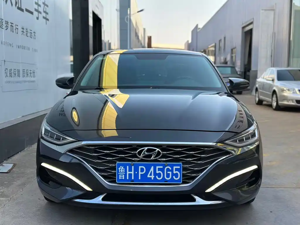 Hyundai Fista — миниатюра 2