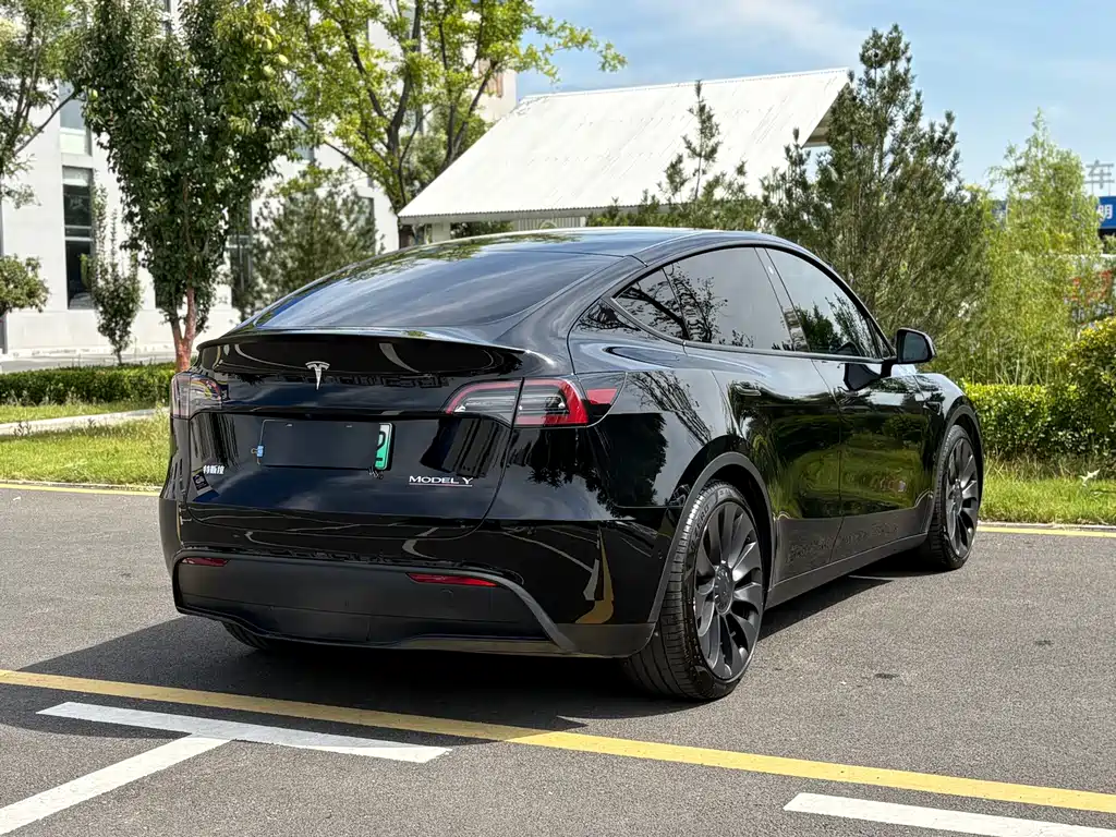 Tesla Model Y — миниатюра 5