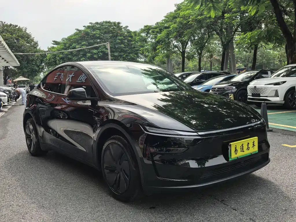 Tesla Model Y — миниатюра 5