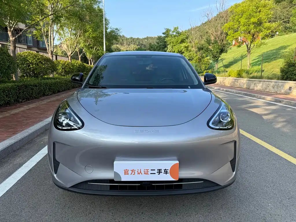 Geely Geome Xingyuan 2025 310km