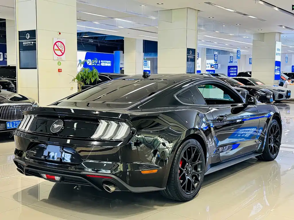 Ford Mustang — миниатюра 18