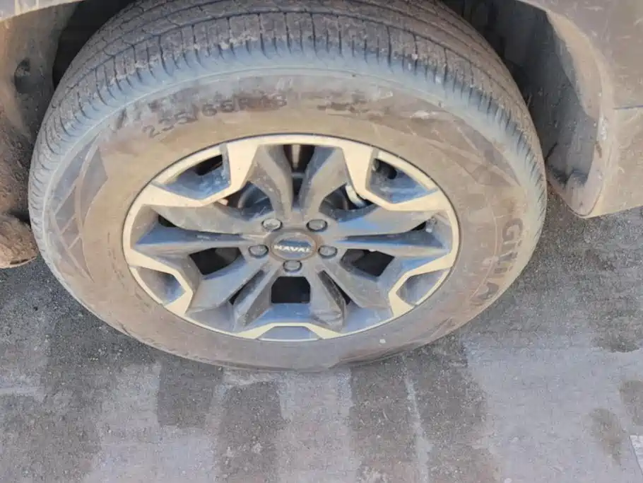 Haval Big Dog — миниатюра 6