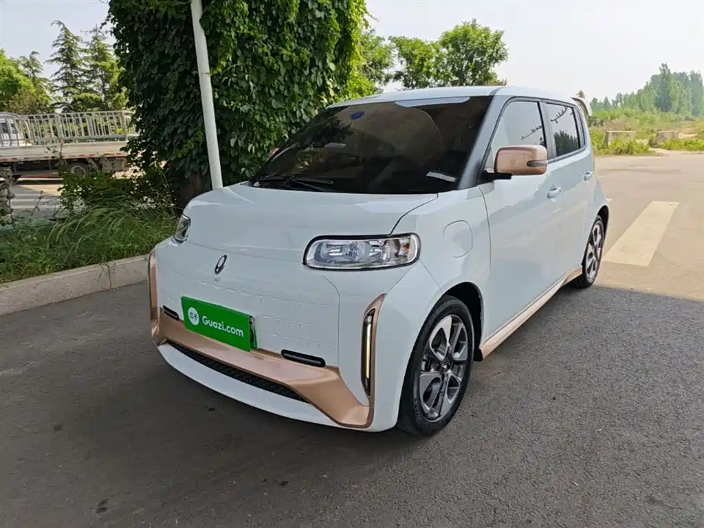 Ora Ora White Cat 2022