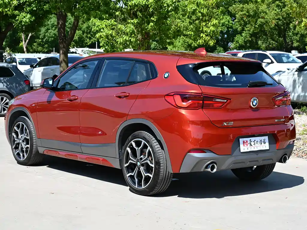 BMW X2 (Import) — миниатюра 3